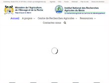 Tablet Screenshot of inrab.org